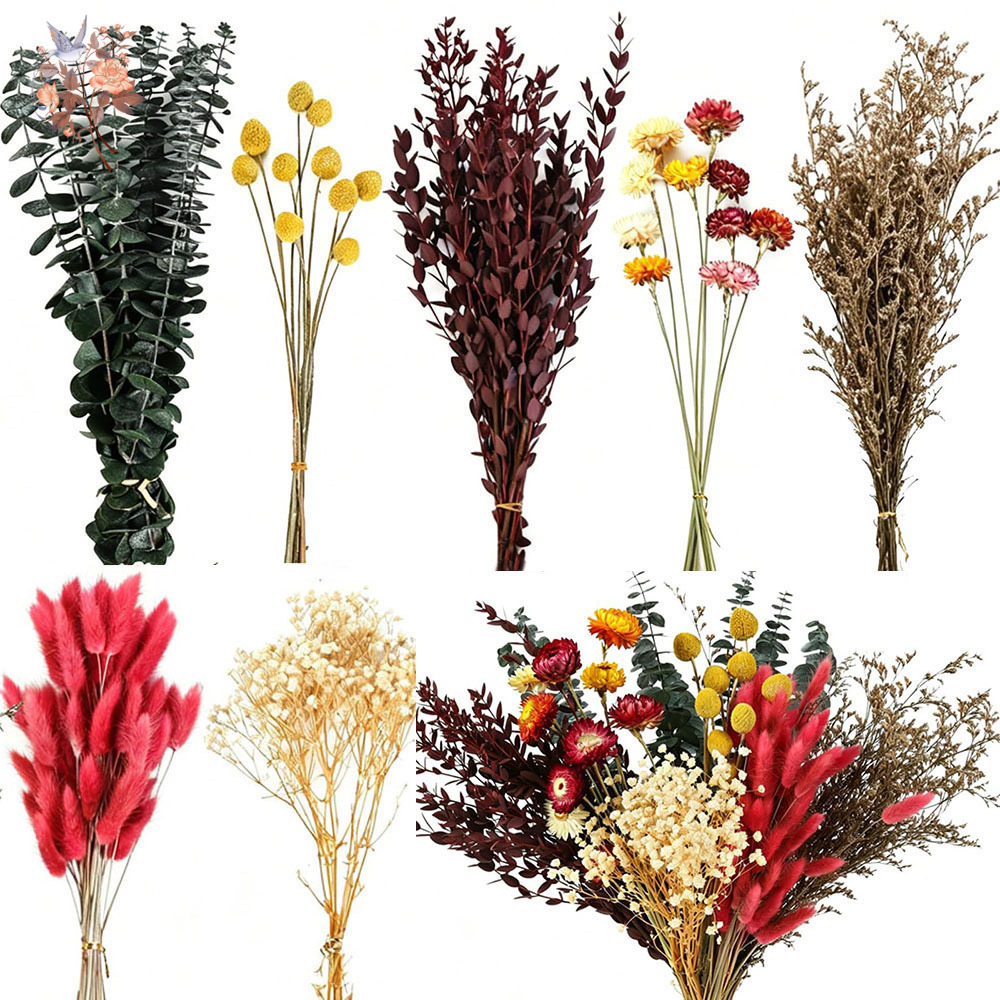 Florist Flower Supply - Ensemble de fleurs séchées en vrac,