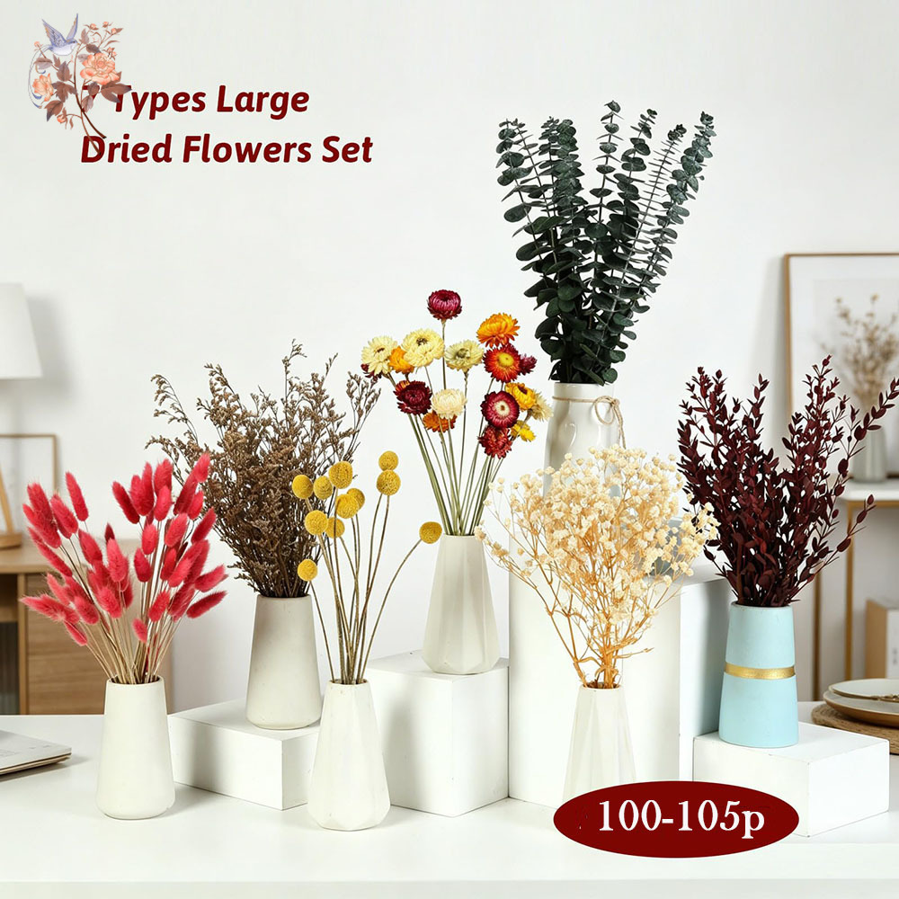 Ensemble de fleurs séchées en  - Florist Flower Supply avis et prix