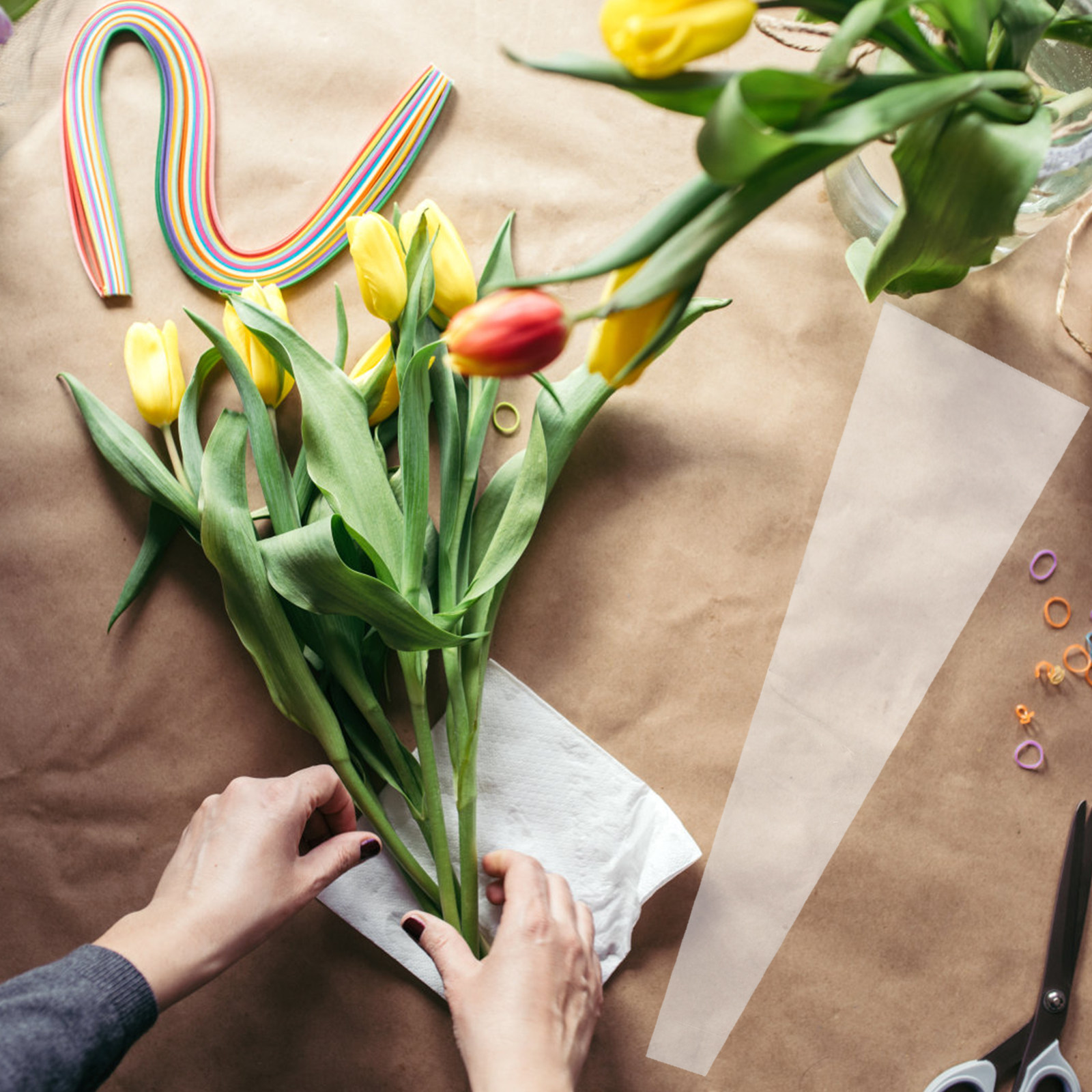 50 sacs en cellophane résistan - Florist Flower Supply avis et prix