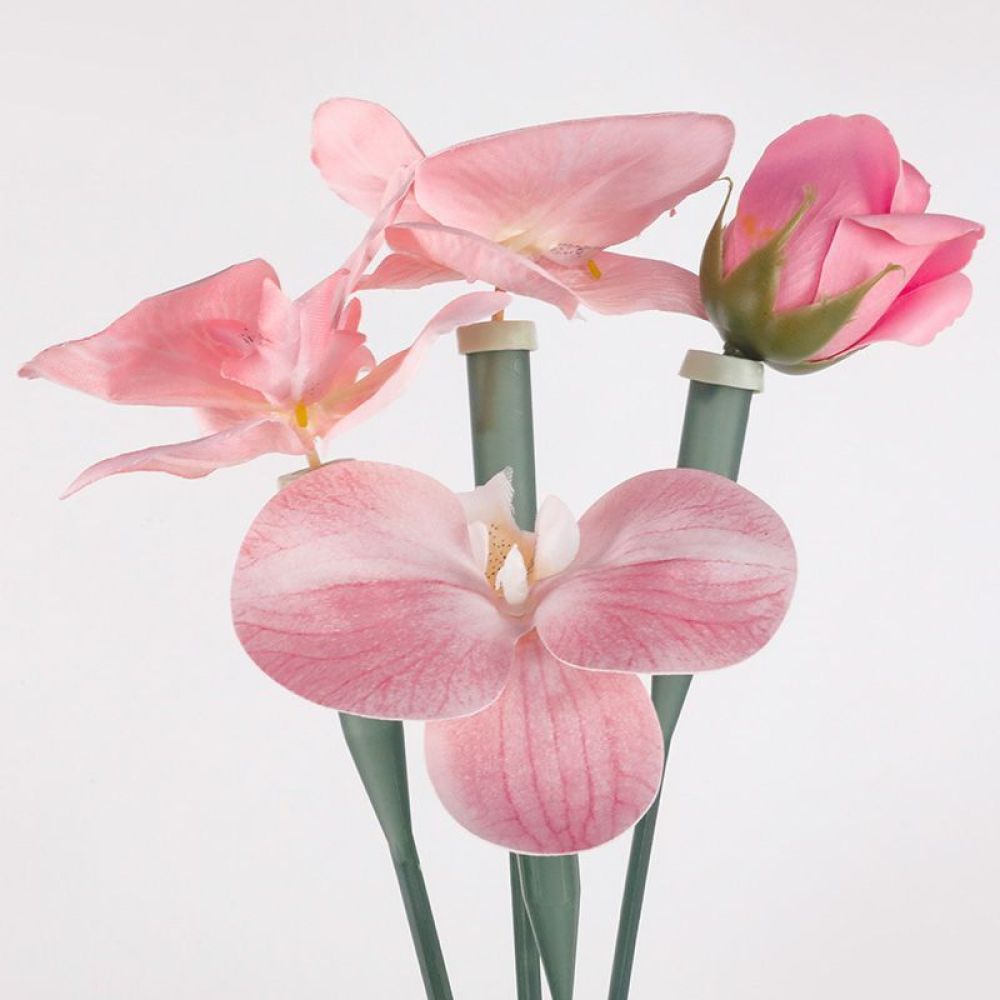 Tubes de conservation florale, - The Florist Supply Shop avis et prix